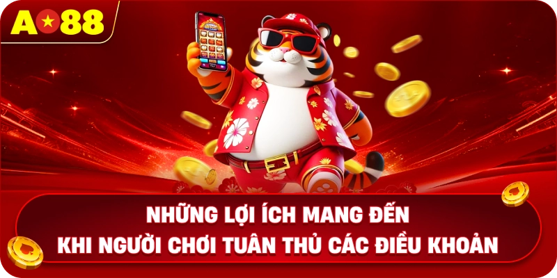 Những lợi ích mang đến khi người chơi tuân thủ các điều khoản tại AO88