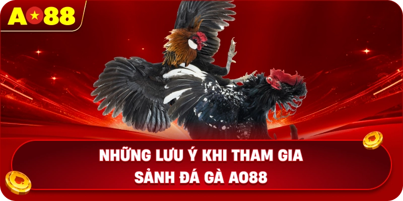 Những lưu ý khi tham gia sảnh đá gà AO88